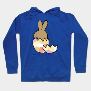 Bunny Rabbit Hatching from Easter Egg Hoodie